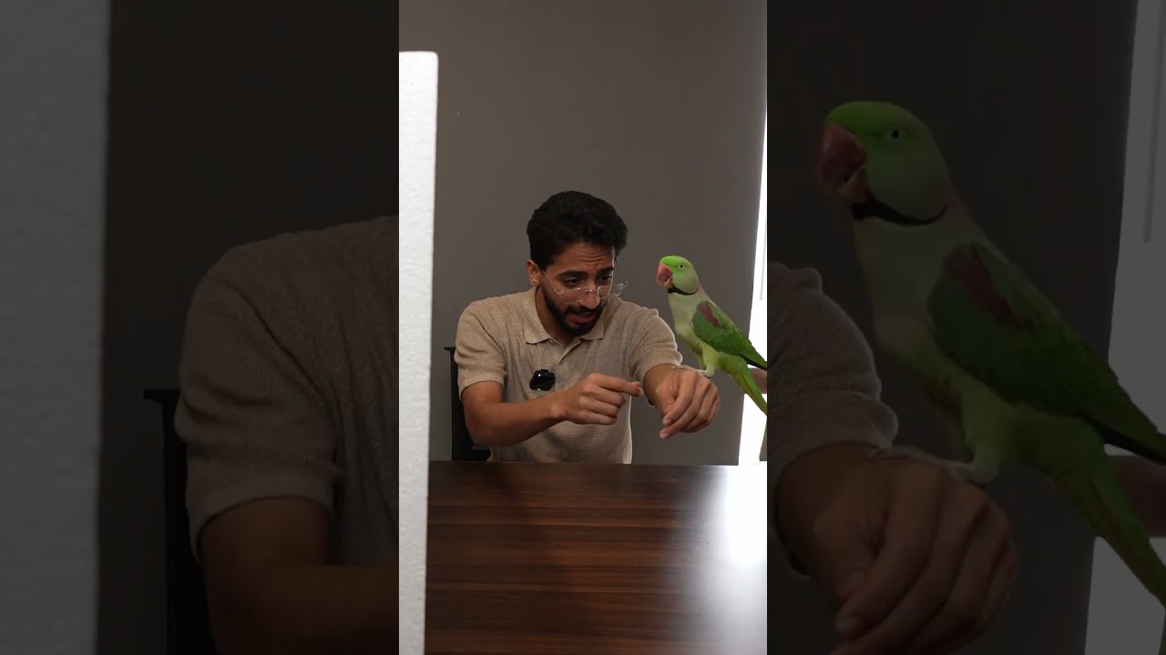 مين الكذاب؟ الحيوانات فضحتهم! 🤫😂🔥
