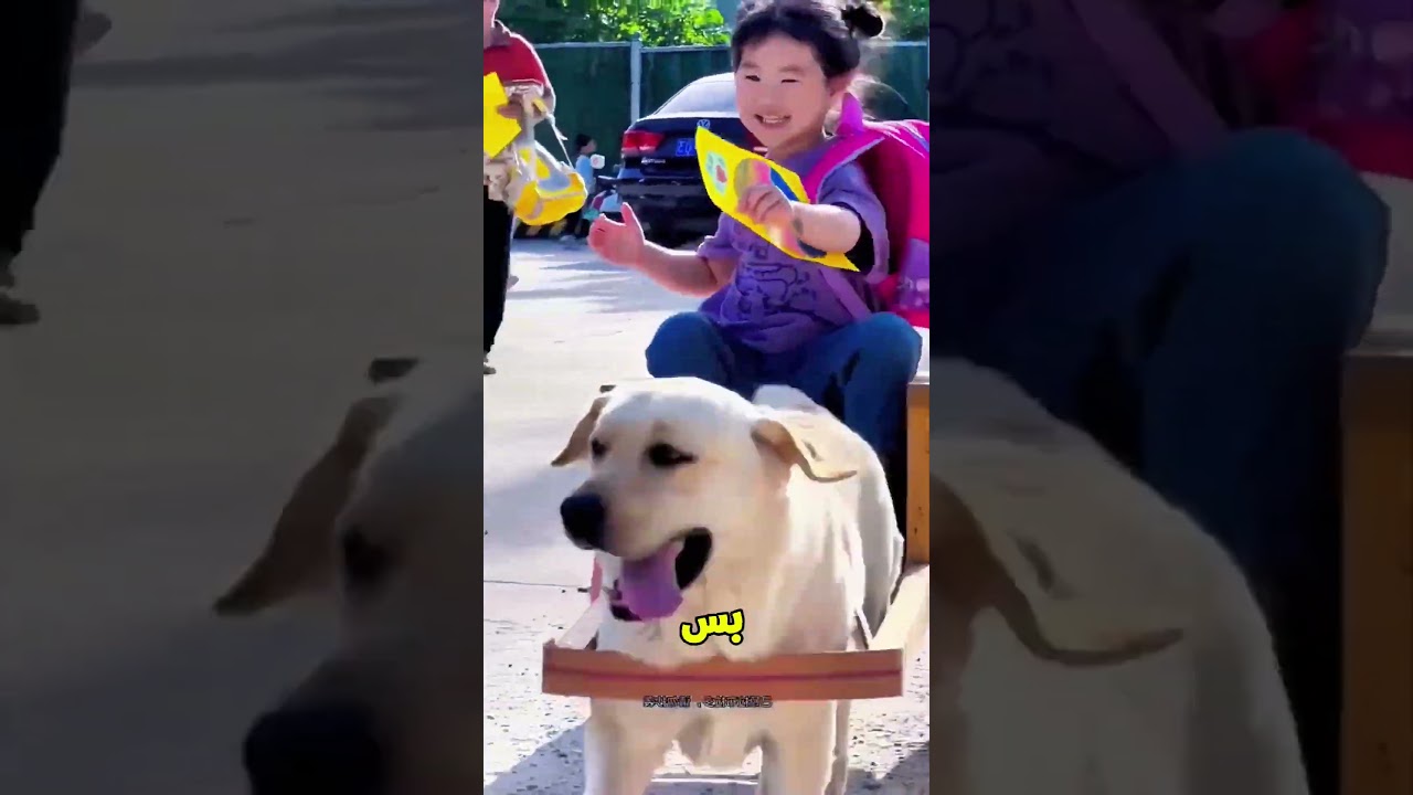 يا تومي وصلني بعربيتك😄