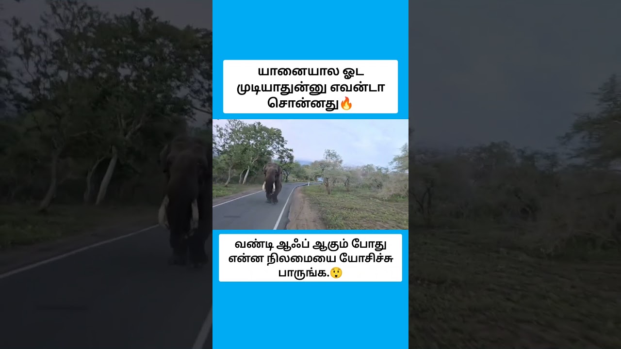 வண்டி ஆஃப் ஆகும் போது என்ன நிலமையை யோசிச்சு பாருங்க. #shorts