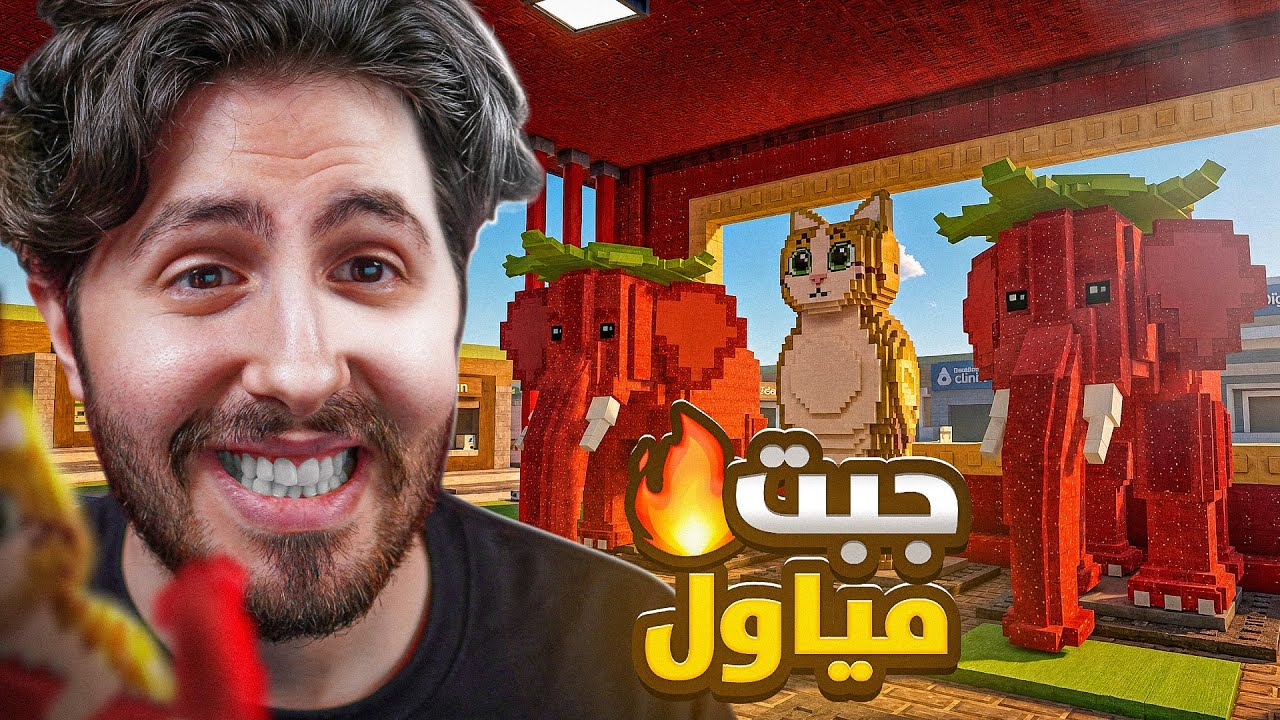 من نوبيني الى أوجي التريدات صارت صعبة 😢  #16