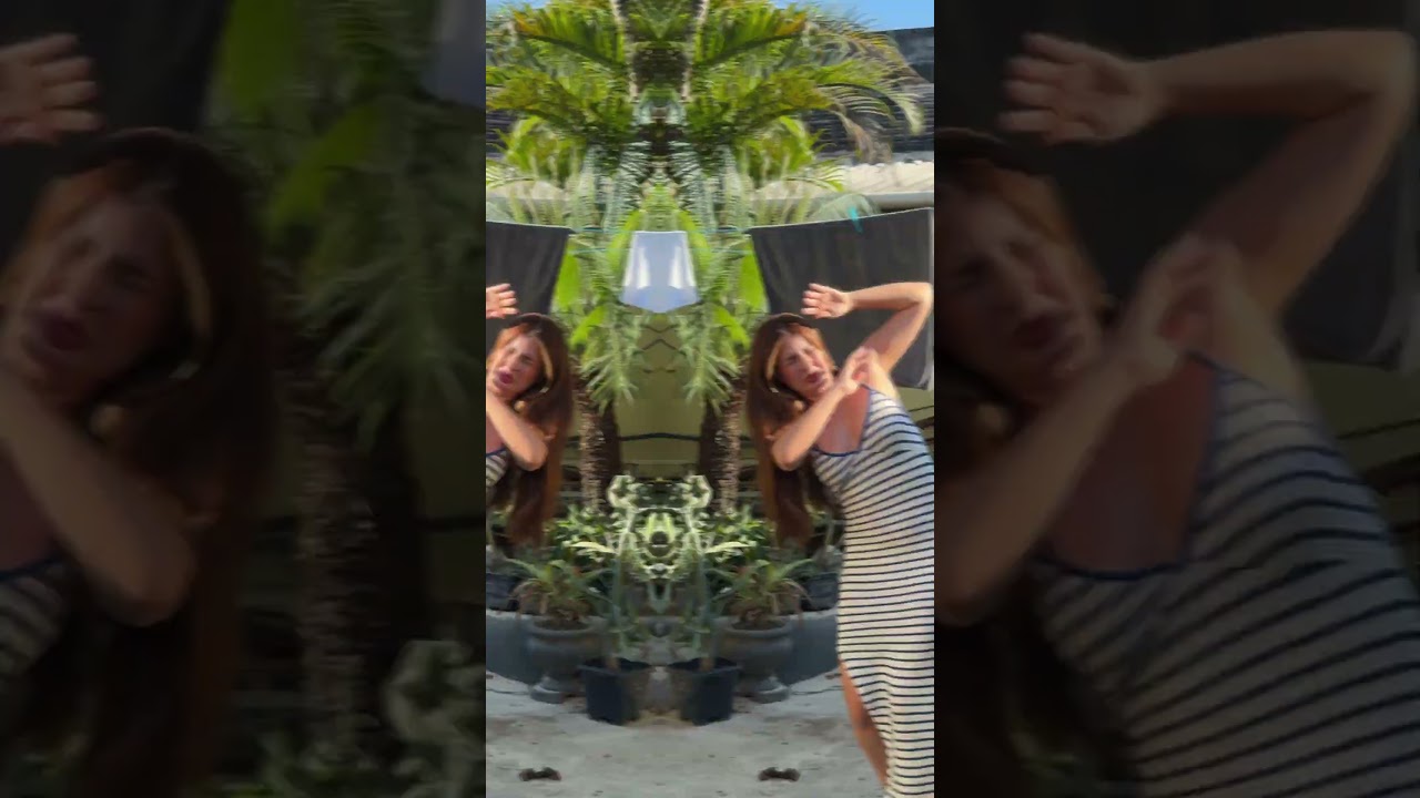 virei o trump só de gravar esse vídeo