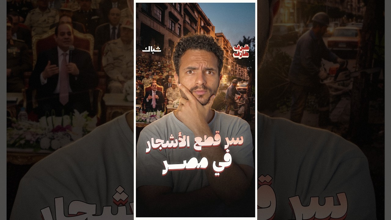 من المستفيد من قطع الأشجار في مصر 🇪🇬؟