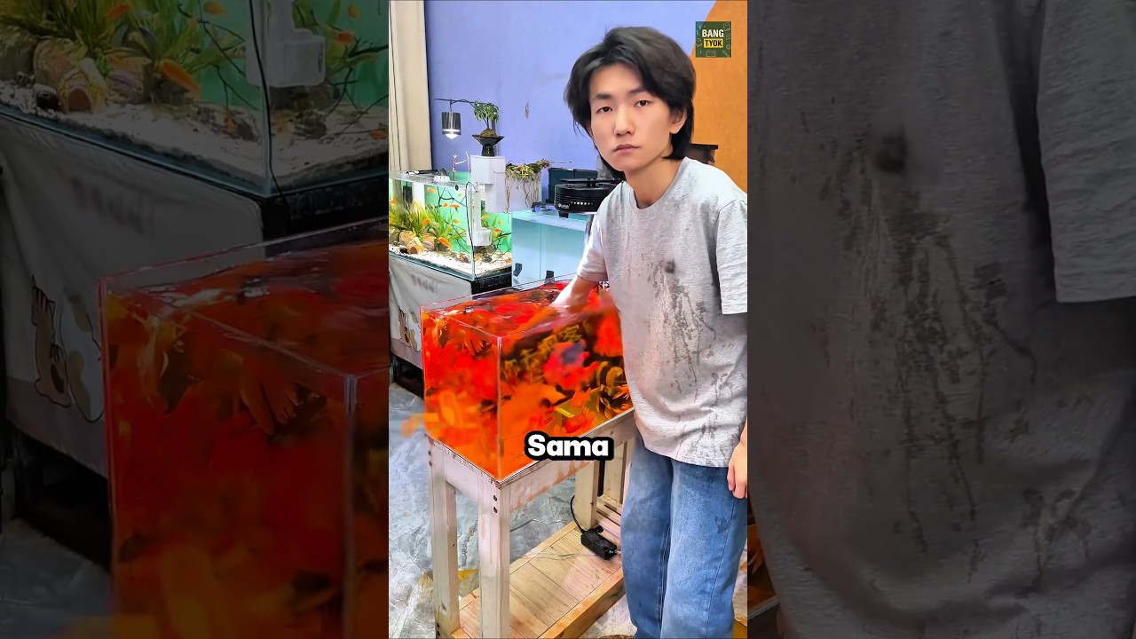 Cowok Ini Menjatuhkan Air Minum Ke Kolam Ikannya⁉️😳