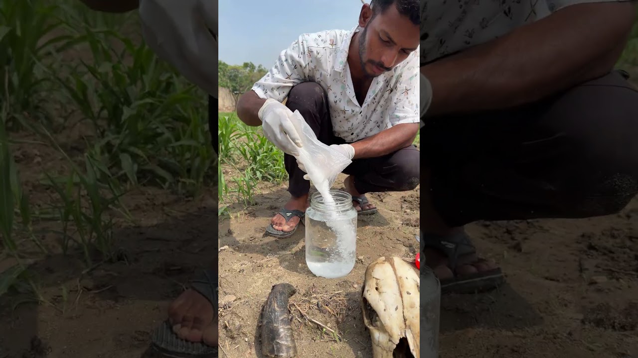 Caustic Soda Reaction with Animal Horn 😲