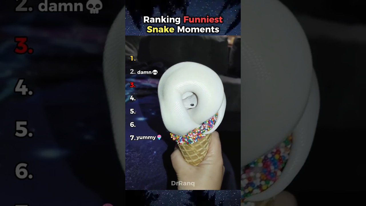 Ranking Best SNAKE Moments Ever💀