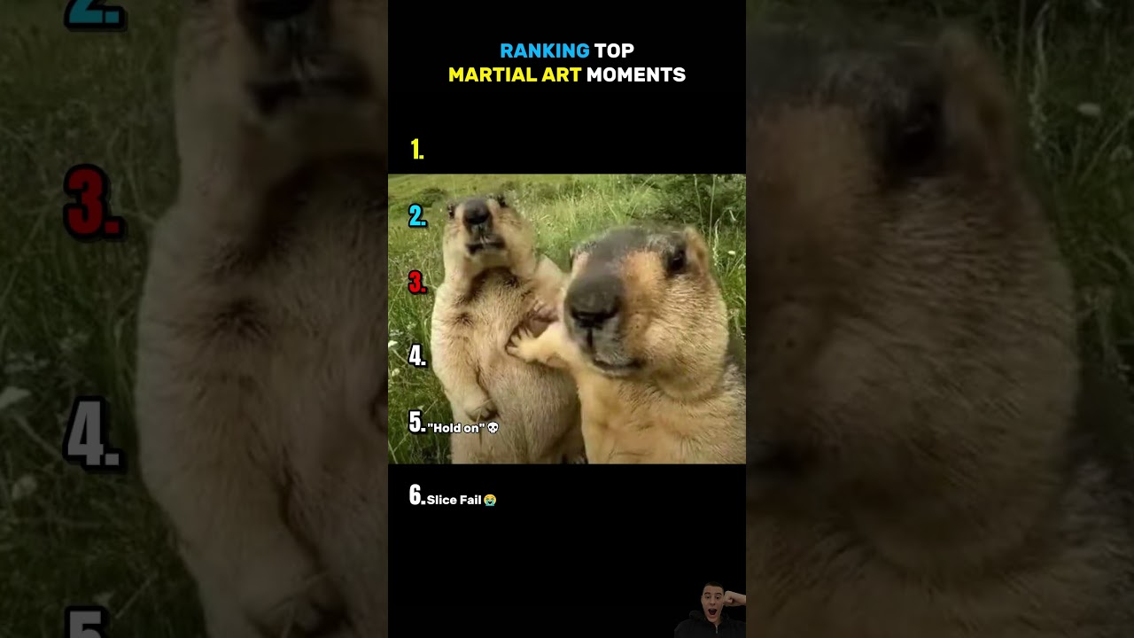 Funny Martial Art Moments - Published by RankerPP