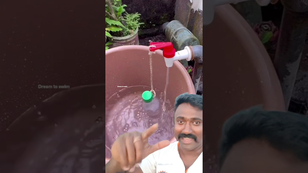 A must-watch video for those who keep animals and birds at home #dreamtoswim #animals #saveanimals