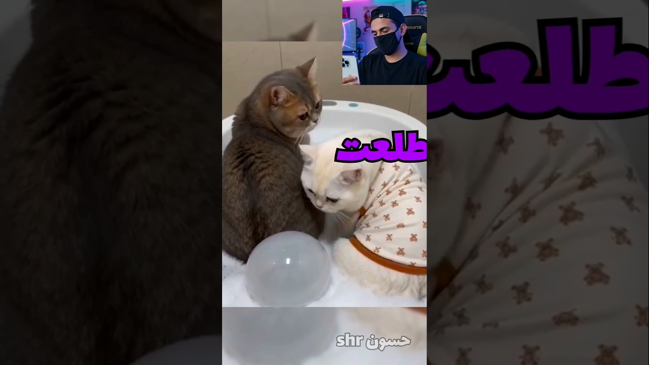 #funny #العراق #saudiarabia #دبلجة #fyp كارثة الفاصوليا وجبس عبوري