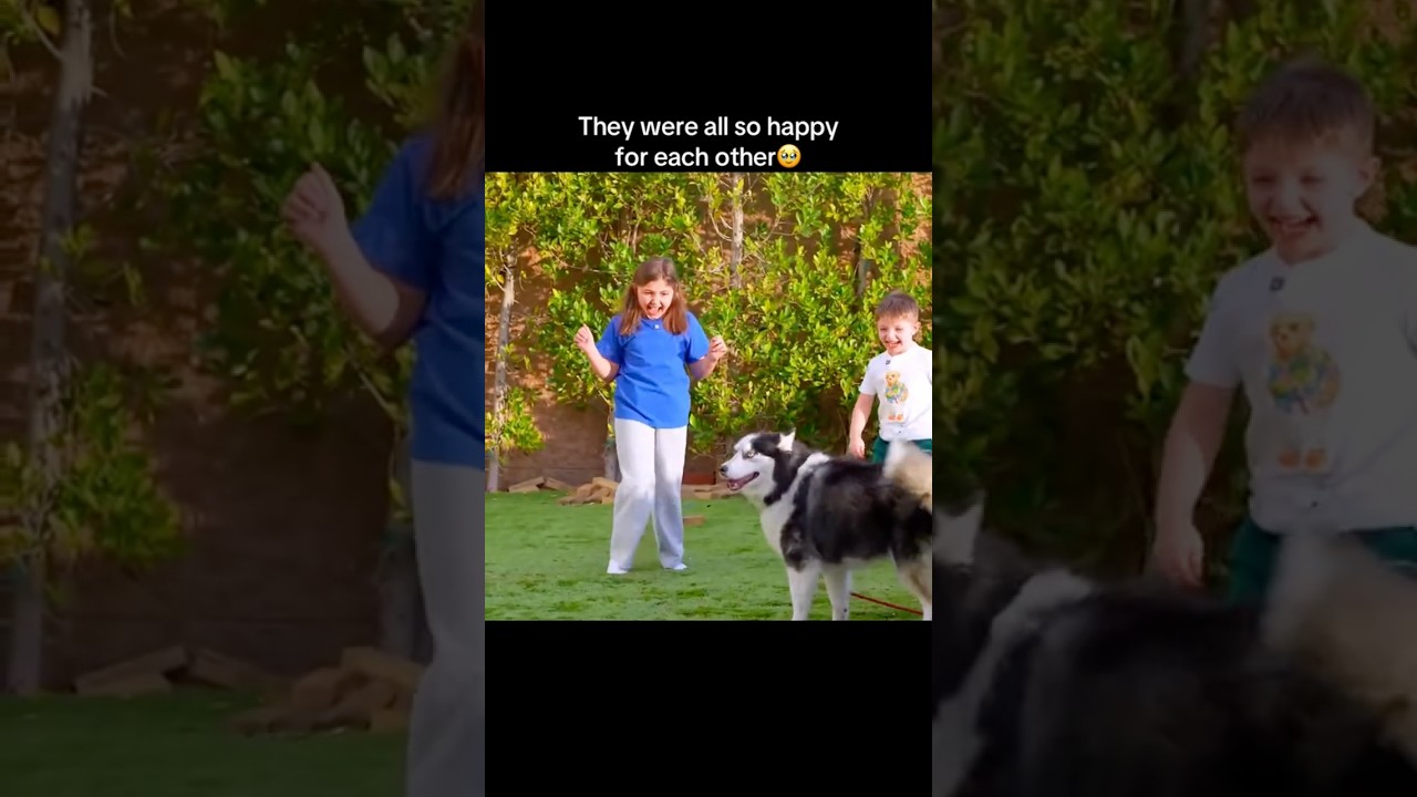 They were all so happy for each other 🥹 #anasala #funny #explore #fyp #anazala