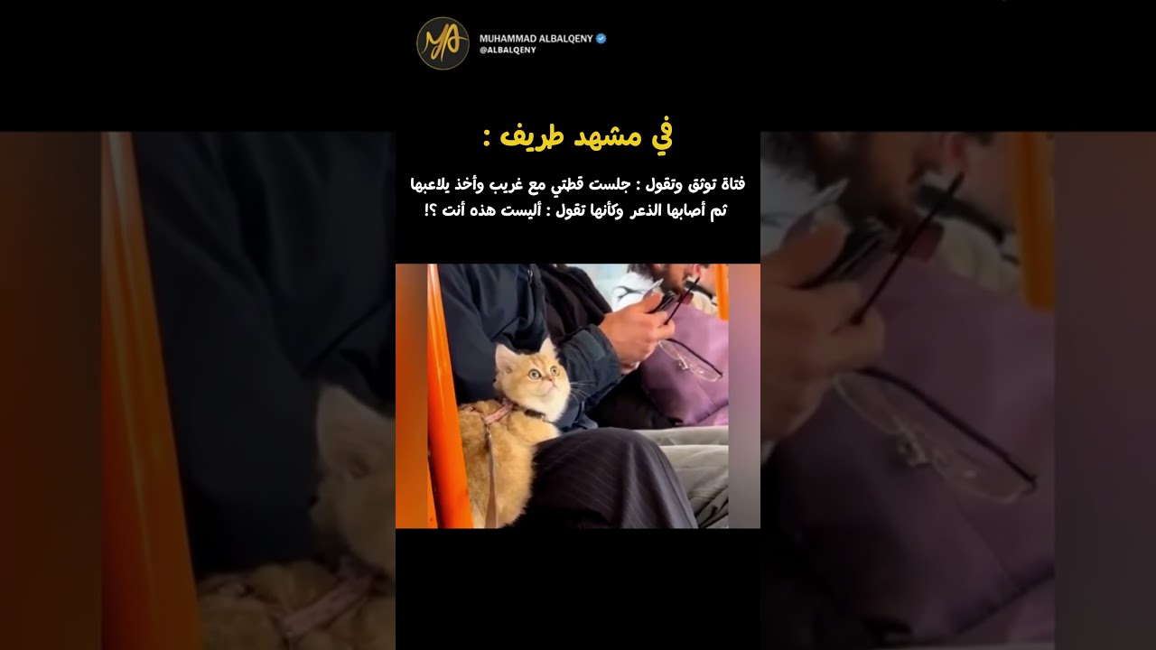ردة فعل قطتي عندما شاهدتني #shorts