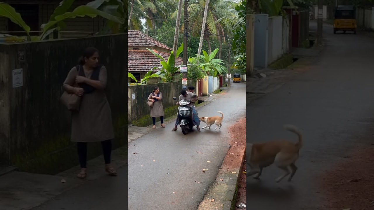 Dog தான் உன்மையான நண்பன்👨🐶 #kanyakumaridoglover #care #rescue #adoption #pets