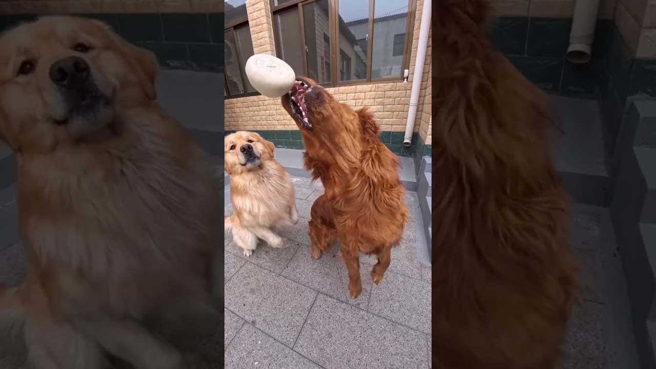 They finally grab it