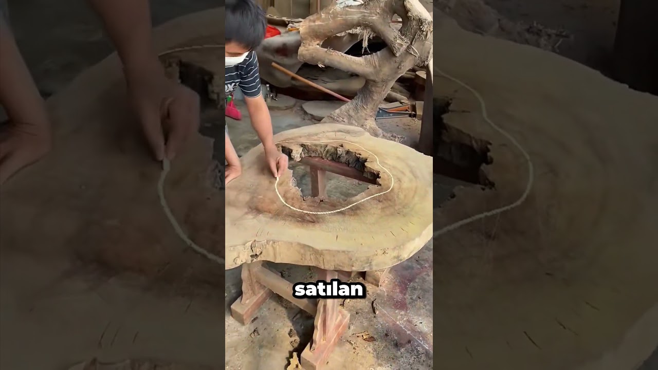 Çürük ağaçtan servet yapan Çinli ustalar!