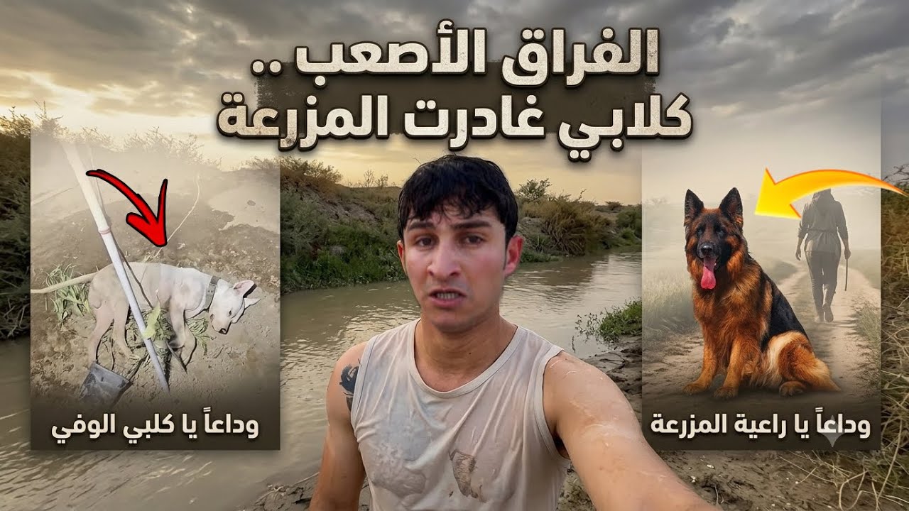  لحضة خروج الكلاب.. المزرعة بدونهم صدمة! 😔