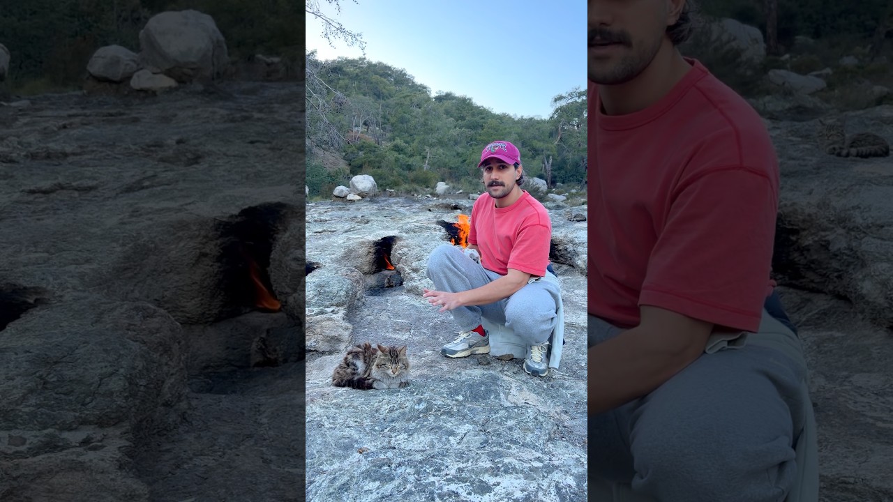 Yanartas kedileri tanitim videosu cr: @handisgo