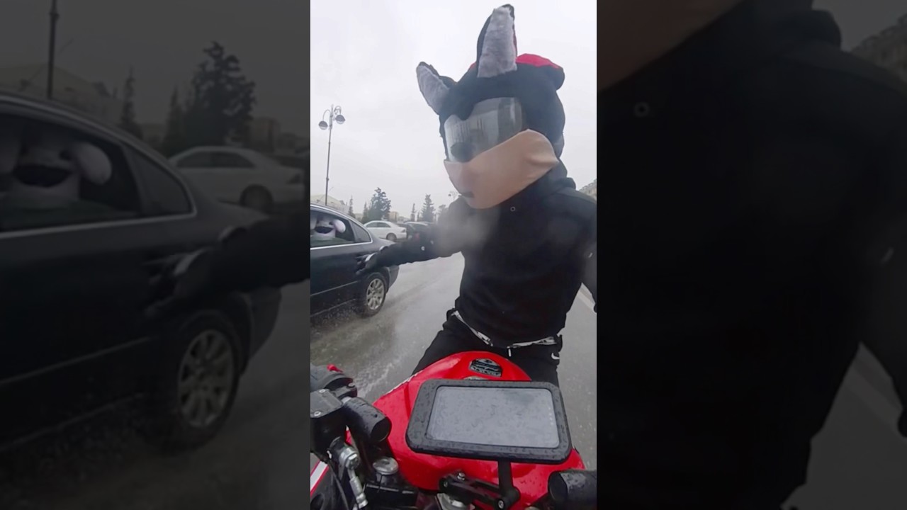 🤣🤣🤣 #automobile #motovlo #trending #furry #funny #biker #trendingshorts #cute #furries #bikers