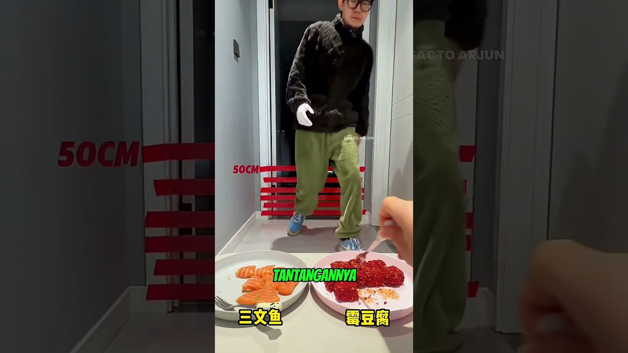 Kucing Super Kalahkan Babunya! Lompatan 100cm yang Bikin Semua Kagum #kucing #shorts #fyp #viral