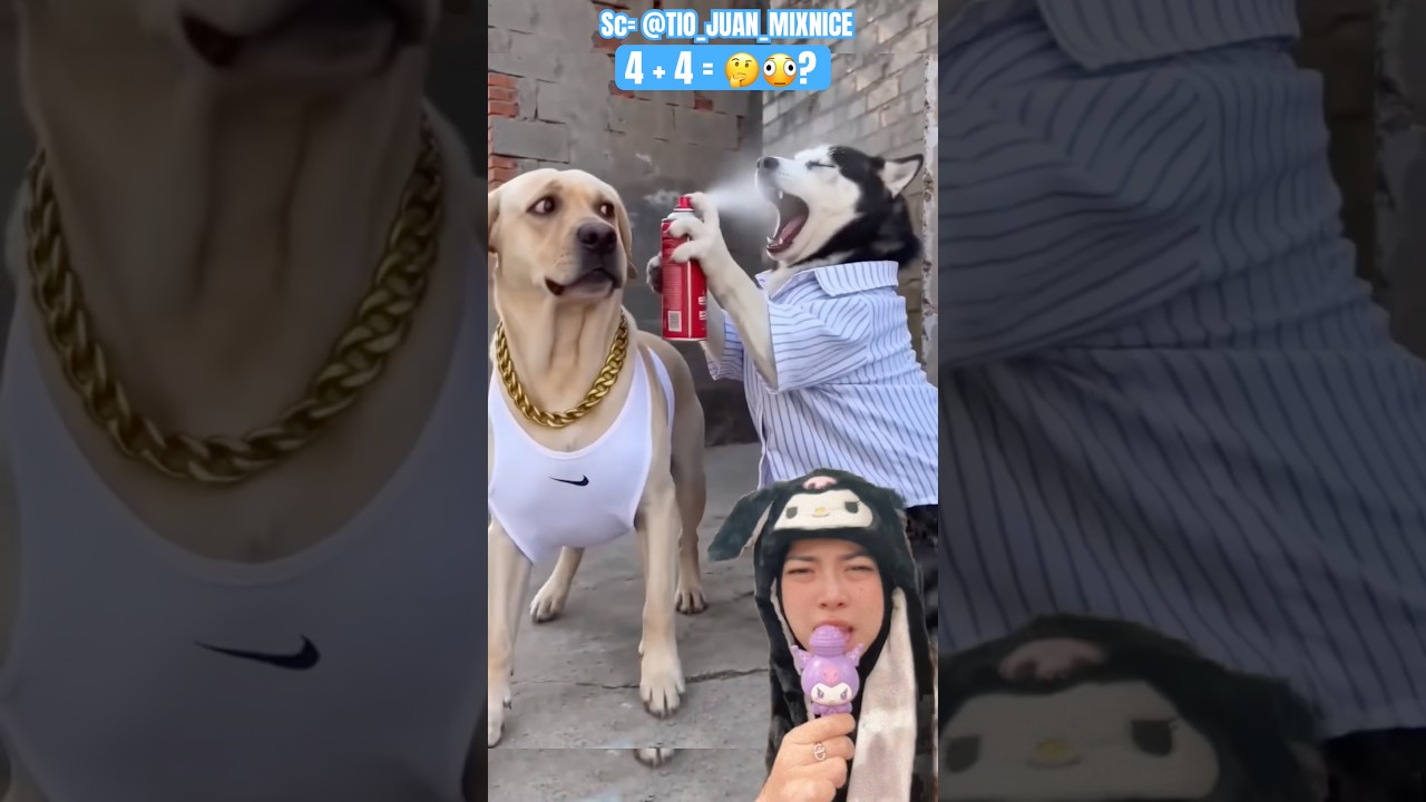 Jadi Apes‼️ Gara gara Prank gagal 😱🤣