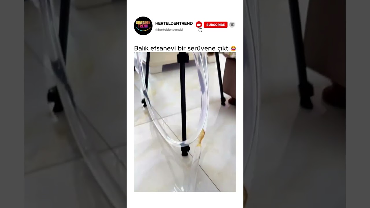 Balık efsanevi bir serüvene çıktı😂