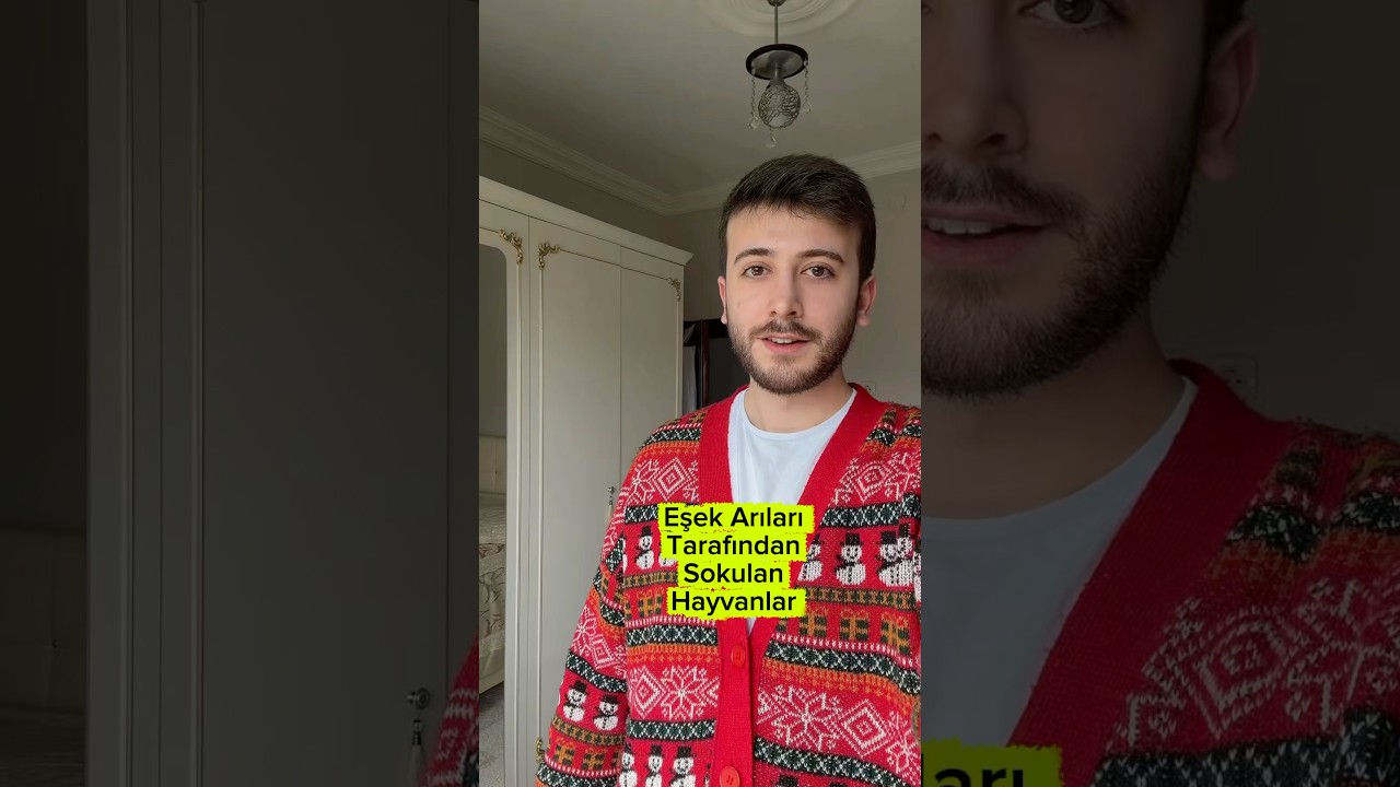 Eşek arıları tarafından sokulan hayvanlar