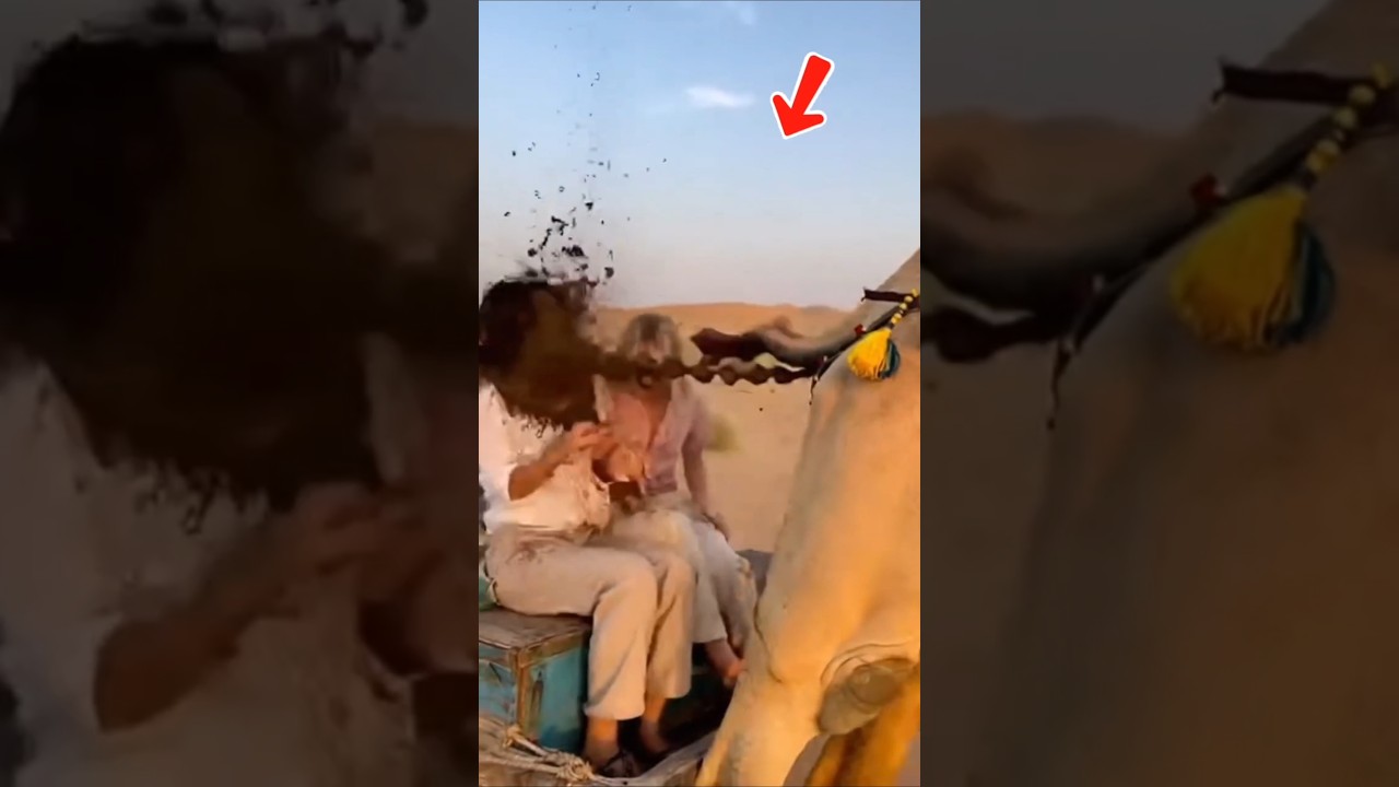 kenak cepirit unta gara gara duduk pas dibelakang