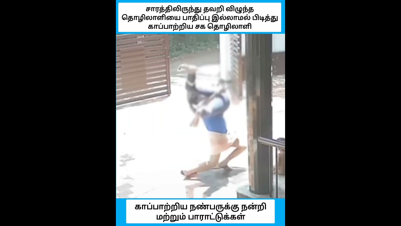 பயந்து ஓடாமல் தைரியமாக பிடித்த தெய்வம் வாழ்த்துக்கள் வாழ்க வளமுடன் #shorts