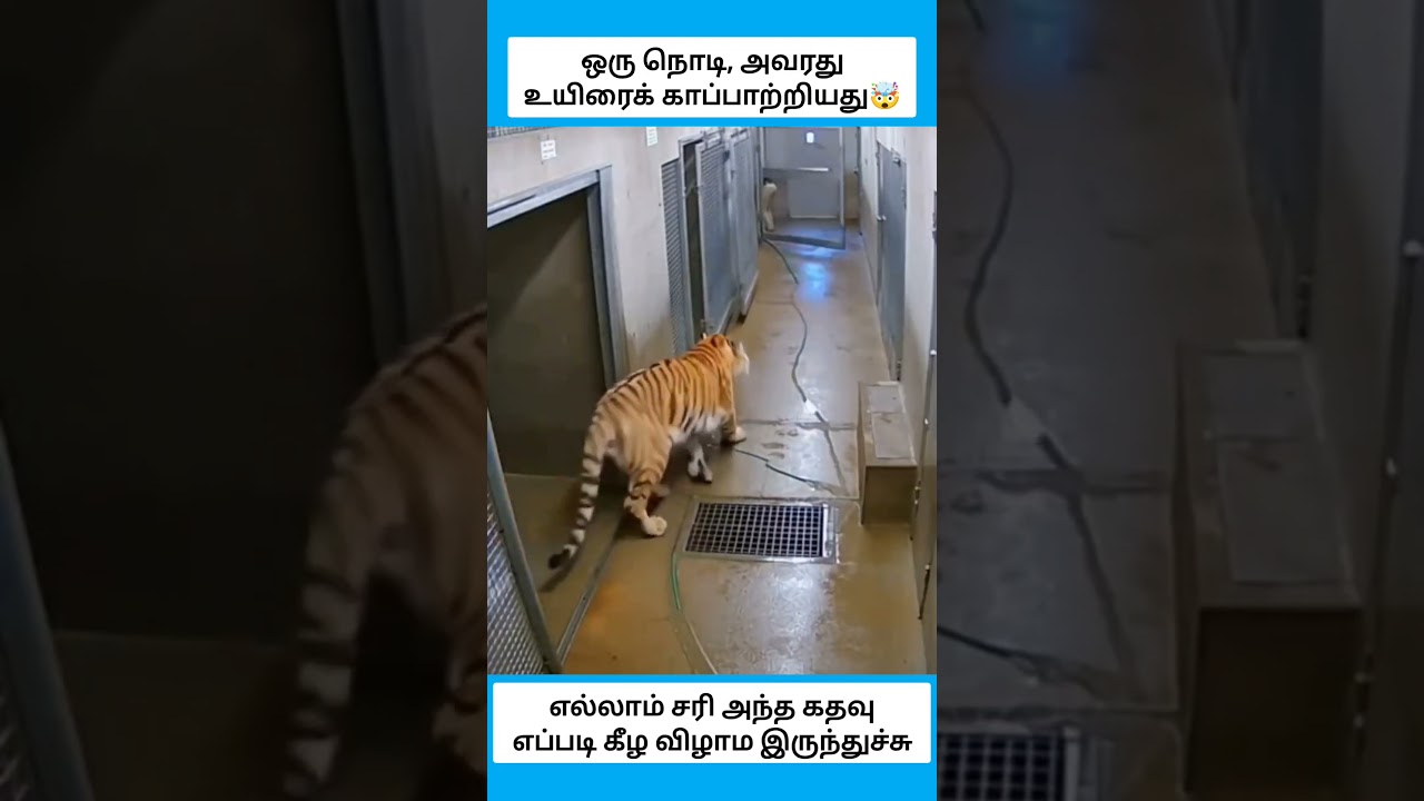 அந்த கதவு எப்படி கீழ விழாம இருந்துச்சு #shorts