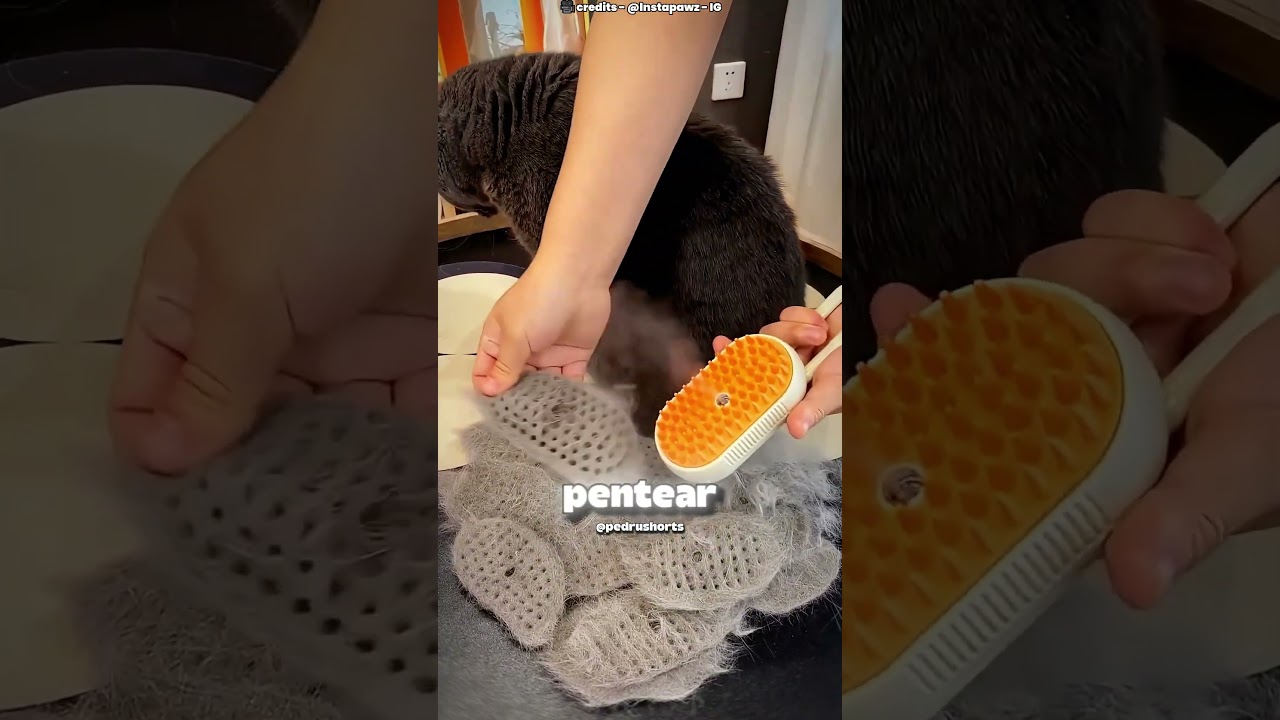 Os pelos dele estavam caindo... 🐈🐱