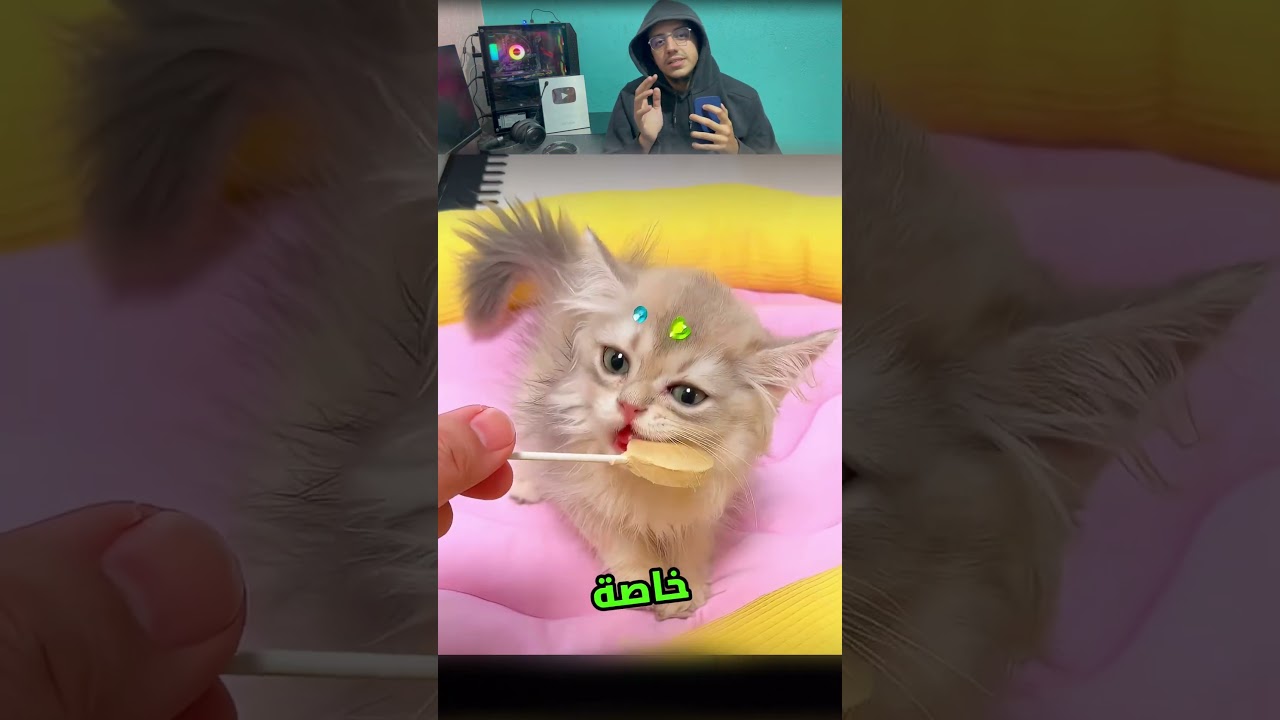 هالكتكوت الصغير اخيرا طلعت اسنانو 🥹❤️ #shortvideo