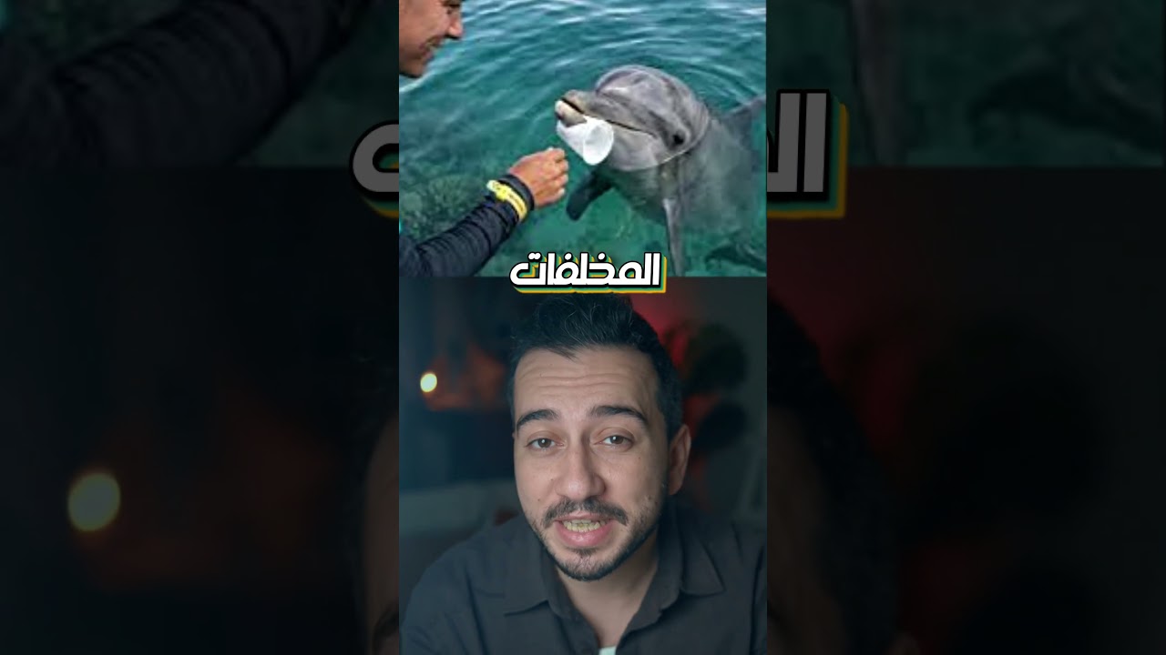 حاول العلماء تعليم الدلافين النظافة والنتيجة صدمتهم!!