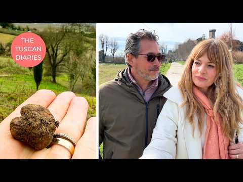 WE WENT TRUFFLE HUNTING And Learned How to Cook Them