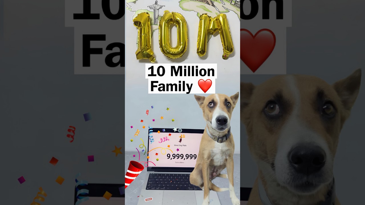 10 Million Family Completed ❤️