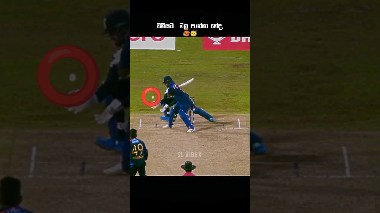 ඇයි වනියට මල පැන්නේ😅🤔 | #gadgets #cricket #trend