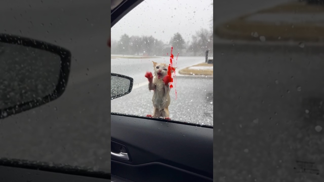 Phillies land All-Star closer Jhoan Duran ahead of MLB trade deadline 💔😥