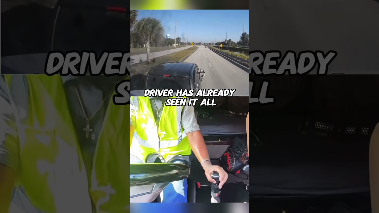 Driver has already seenit all #trucker #truck#truckdriver #road