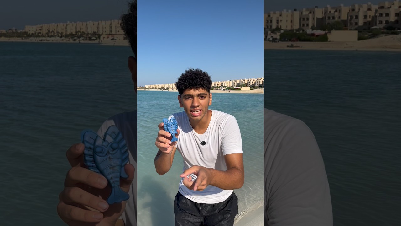 لما تبيع لاخوك استكوزا بحر نادرة😂🦞🔥