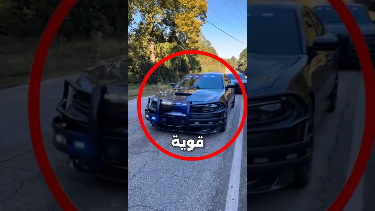 تقييم سيارات الشرطة بدون مزح🔥🚨