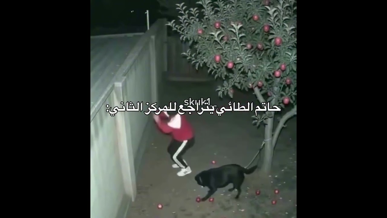 ستوريـات بنات كيـوت، ستوريـات بنـات انستـا كيـوت بـدون كتابـه فيديوهـات كيـوت بـدون حقـوق #اكسبلور