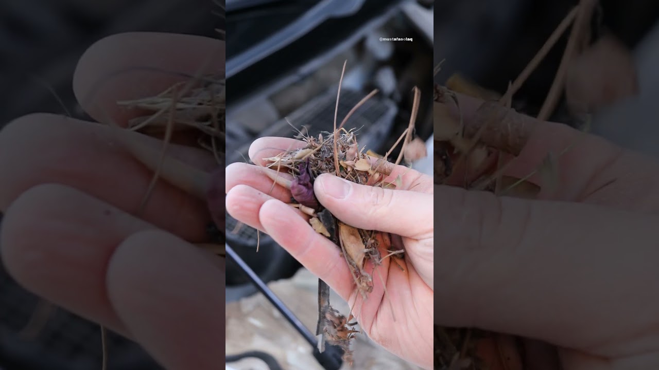 ARABALARDAKİ TIKALI YAĞMUR GİDERİNİ DENİYORUZ ! #shorts #reklam