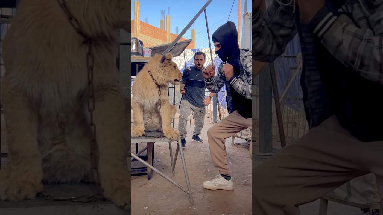 مسكت حرامي😱