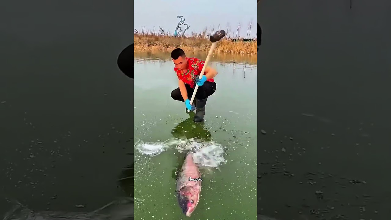 أنقذ سمكتين من تحت التلج… حتى لو هيغرق! 😳❄️🐟