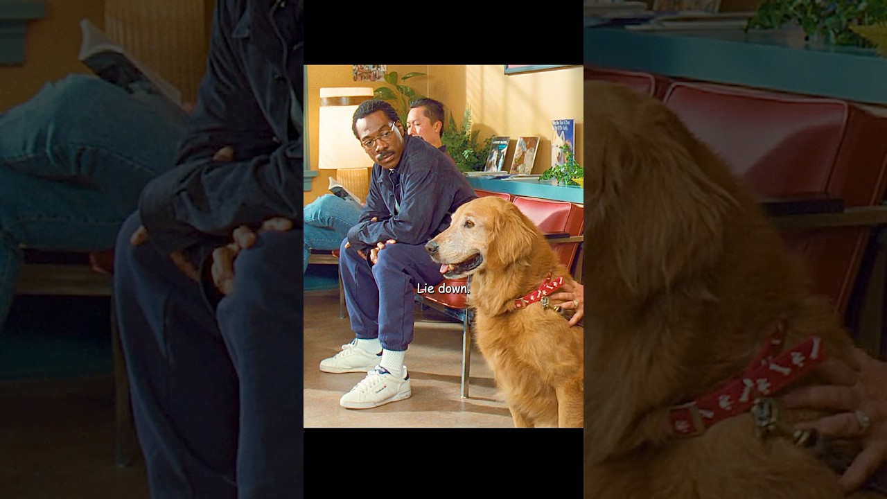 A talking dog#shorts - Published by DarkMirage 