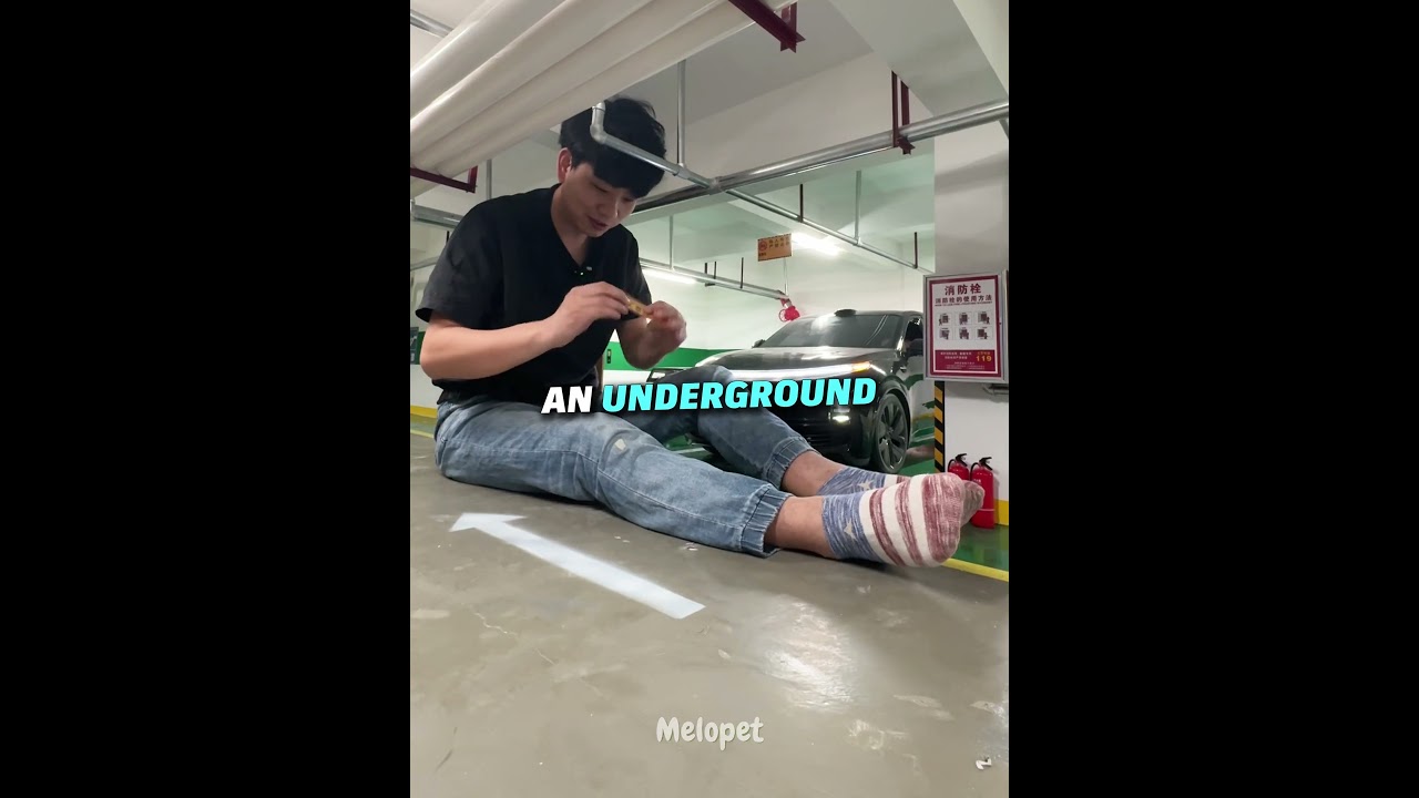 1 Million Dollar Pet City - Published by Melopet