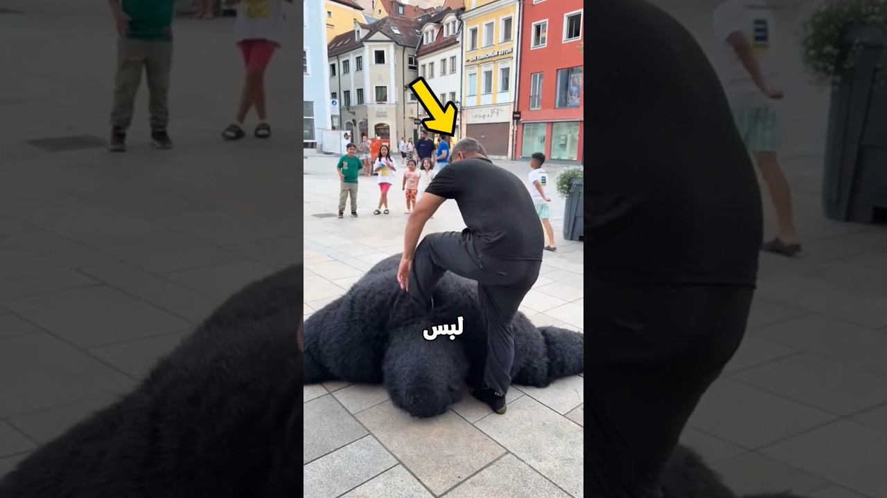 الاطفال كشفو خدعة الدب😰☠️