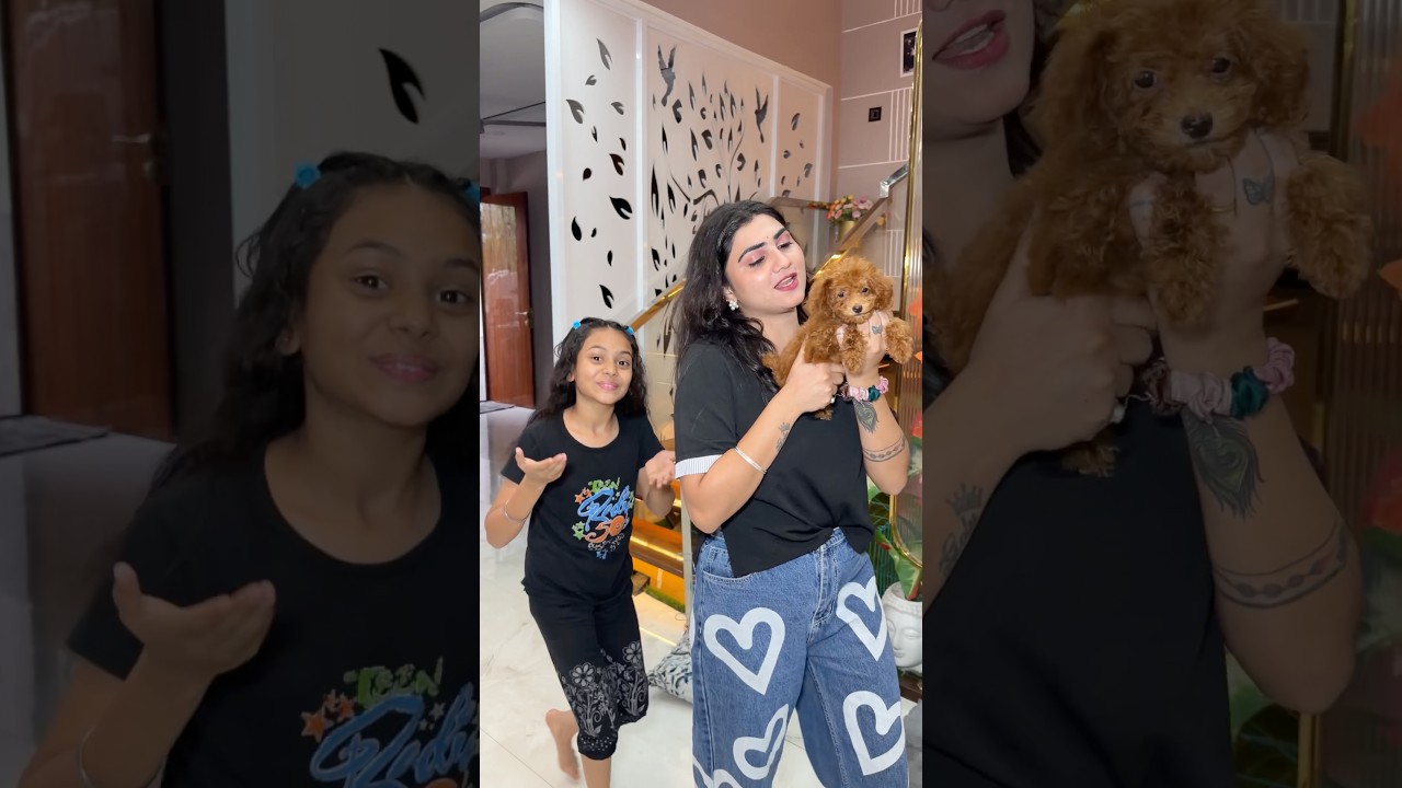 मेरे घर आया तूतू🐶😜 #youtubeshorts #shorts #dog #kajalsoni @Kajalsoni_vlogs