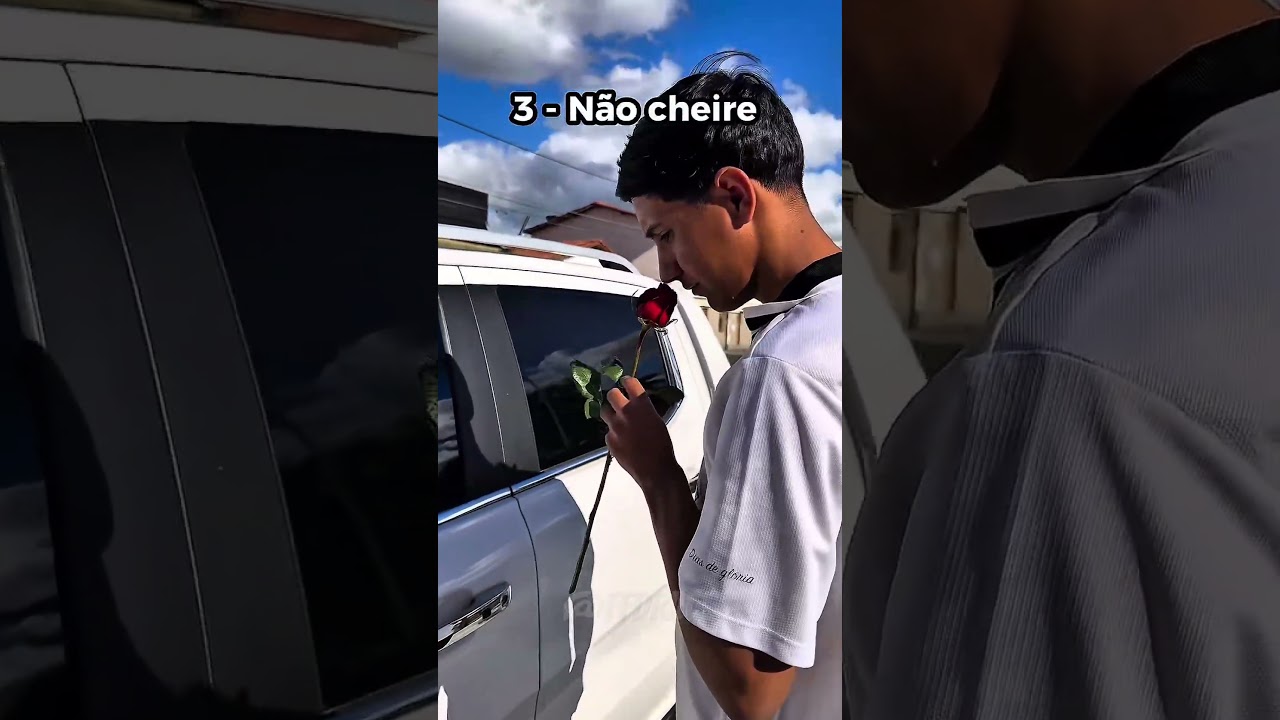 ROSAS EM CARROS!😱🚨#ffdracs #fy #viral #curiosidades #shortsvideo #shorts