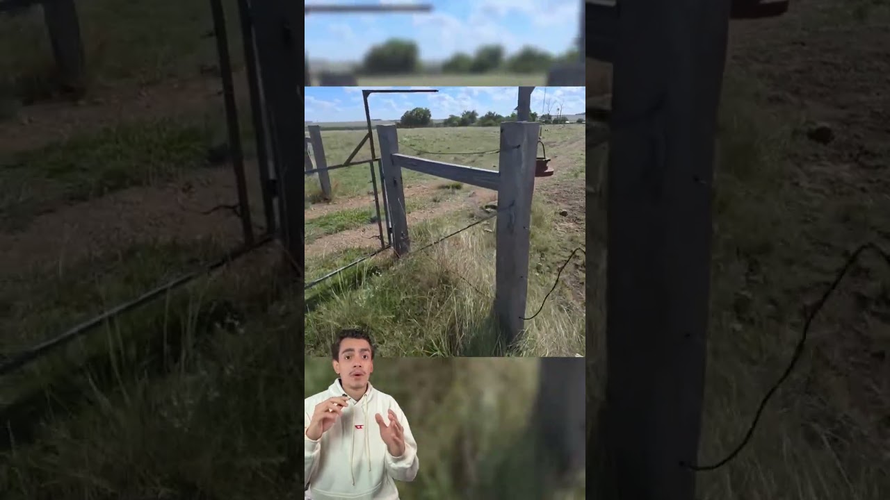 Porteira com pneus abre com o carro e fecha sozinha automaticamente #inovacao #campo