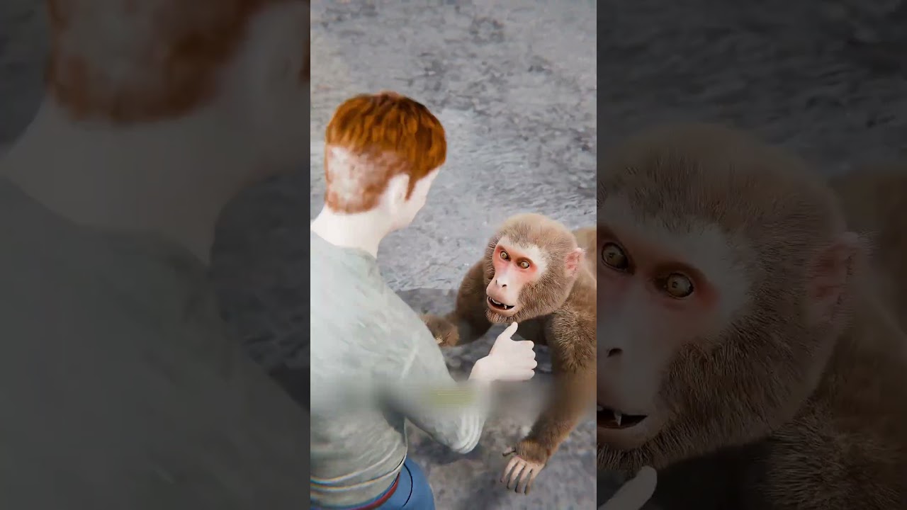 القرد سرق الشرطي😳#shortvideo