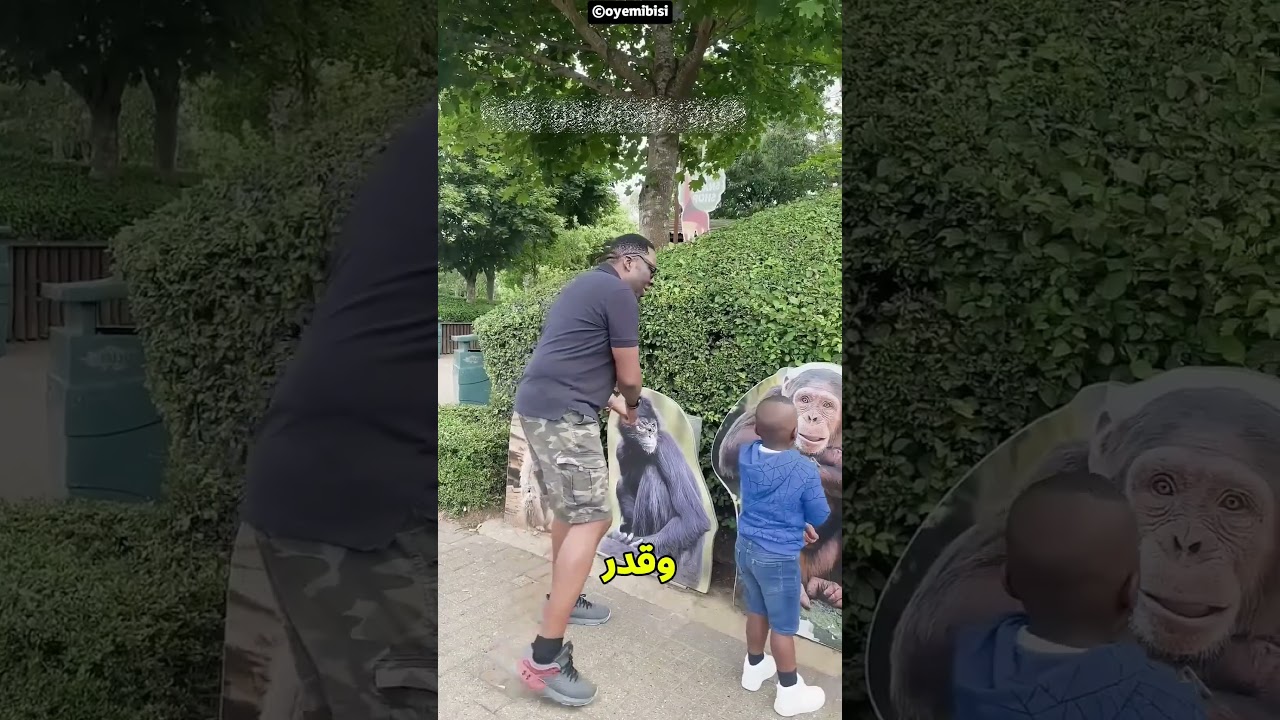 قوة الحيوانات في تحدي شد الحبل 🐅🐘