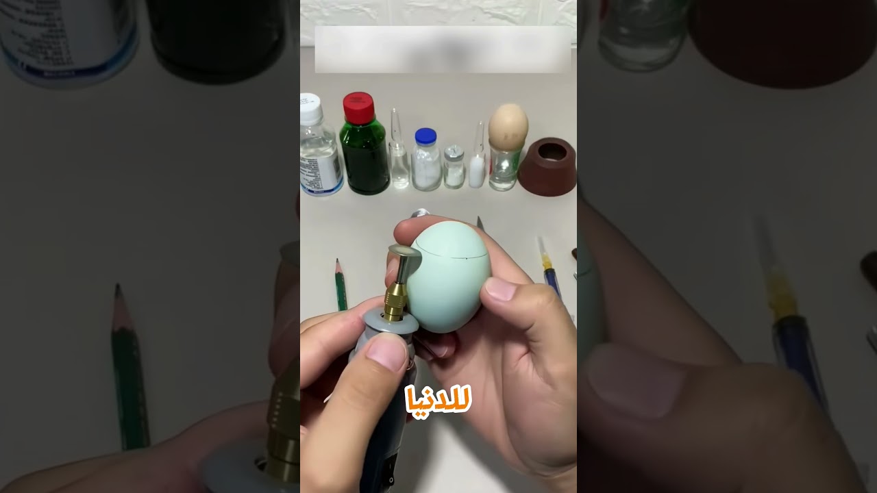 كان فاكرها بيضة عادية... لكن اللي جواها صدمه! 😳